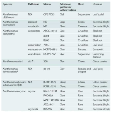 게놈 서열이 규명된 잔토모나스 세균들 (Nat Rev Microbiol. 9: 344-355 (2011))