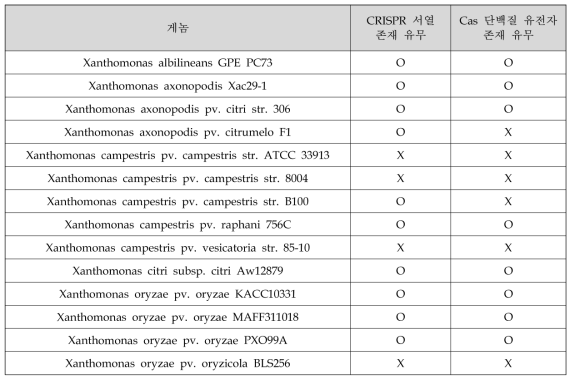 잔토모나스 세균 게놈의 CRISPR 서열 및 Cas 단백질 유전자 존재 유무 (a CRISPR Interactive database, Bioinformatics. 25: 3317-3318 (2009))