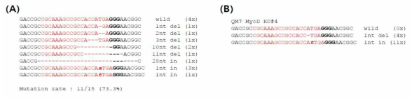 Genotyping analysis of MyoD gene knockout QM7 cells. (A) Genotypes of MyoD-knockout mixed QM7 cells. (B) Genotypes of single cell-derived MyoD-knockout QM7 sublines (QM7 MyoD KO #4)