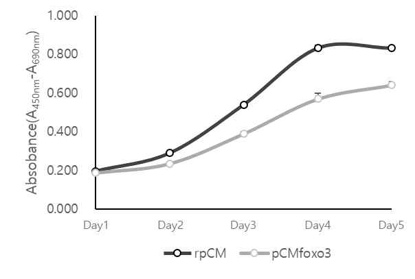 Comparison of proliferation capacity between reg. pCM and Foxo3 KD pCM by WST-1 reagent