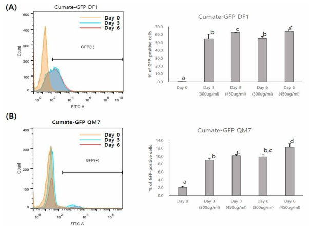 Flow cytometry following induction of the GFP transgene by different concentrations of cumate. Flow cytometry determination of the percentages of GFP-positive cells after cumate induction in cumate-GFP DF1 (A) and cumate-GFP QM7 (B) cells. The different superscripts next to the percentages of GFP-positive cells indicate statistically significant differences between treatments (P < 0.05)