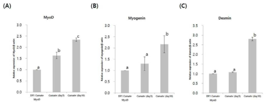 Quantitative RT-PCR analysis in cumate-MyoD DF1 cells following cumate induction. The expression of MyoD (A), myogenin (B), and desmin (C) are expressed relative to ß-actin expression. The different superscripts of the relative expression for each transcript indicate statistically significant differences between treatments (P < 0.05)