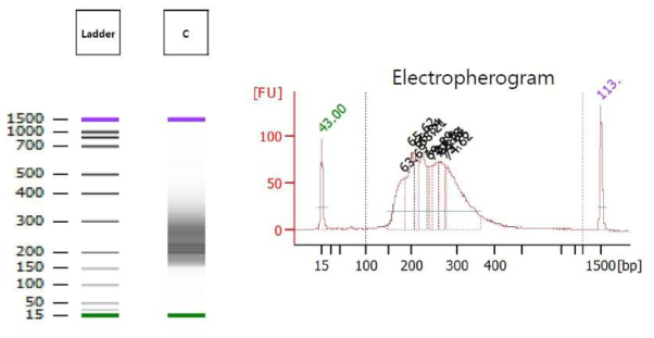 Validation of the constructed library with chicken genomic DNA and estimation of library sizes by electropherogram