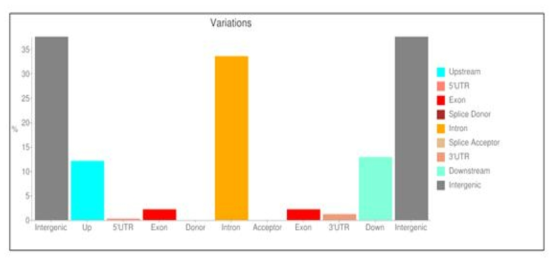 Genomic variation analysis between three chicken lines (White Leghorn, Cornish and Korean Oge)