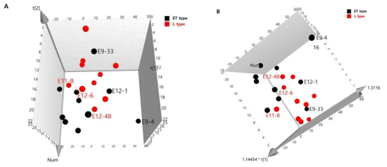 Micropig의 혈장에 대한 대사체 분석 결과를 이용한 체형타입별 주성분분석 (principal components analysis, PCA) (R2X:0.888;Q2:0.667)(A)과 직교부분최소자승판별분석(Orthogonal Partial Least Squares Discriminant Analysis, OPLS-DA)) (R2X:0.867;R2Y:0.185;Q2:-0.276)(B)