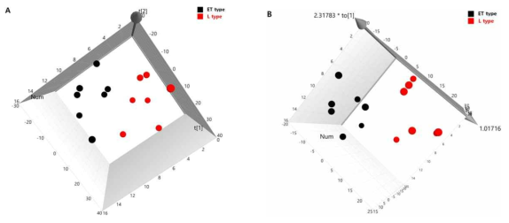 Micropig의 혈장에 대한 대사체 분석 결과를 이용한 체형타입별 주성분 재분석 (principal components analysis, PCA) (R2X:0.882;Q2:0.693)(A)과 직교부분최소자승판별 재분석(Orthogonal Partial Least Squares Discriminant Analysis, OPLS-DA)) (R2X:0.802;R2Y:0.72;Q2:0.0513)(B)