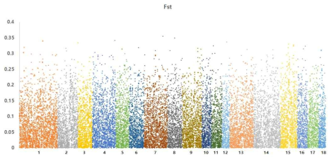 Plots of SNPs’Fst values oamong Berkshire, Landrace and Yorkshire by chromosome