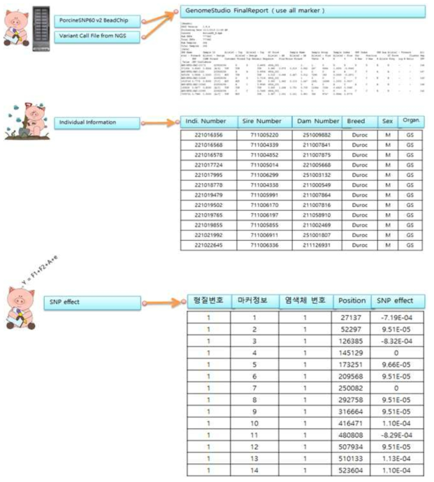 데이터베이스에 사용되는 데이터