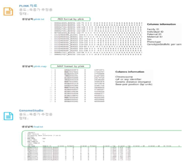 분석자료 다운로드 결과물 형태(PLINK 자료, similar final report format)