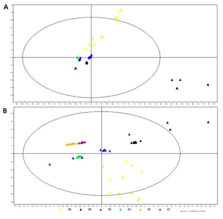 Micropig의 소변에 대한 NMR 분석 결과를 이용한 대사체 ID 분석. 주성분분석(principal components analysis; PCA) (A)과 직교부분최소자승판별분석(Orthogonal Partial Least Squares Discriminant Analysis(OPLS-DA))(B)