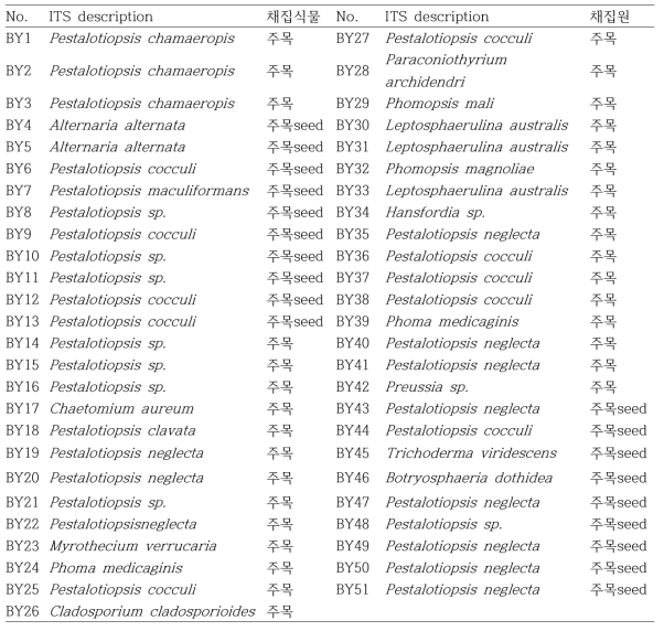 TS (Taxadiene synthase) 유전자를 가지고 있는 주목나무 내생균들