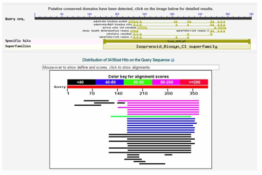 Colletotrichum damatium 유전체와 taxadiene synthase 유전자와의 BLAST 결과: C. dematium에서 taxaidene synthase 유전자가 없음을 확인