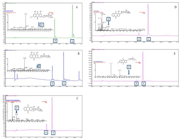 10개의 anthraquinone 기질을 이용한 당전이효소와 UDP-glucose와의 반응 결과. 반응 결과는 HPLC와 HR-QTOF ESI/MS 으로 분석되었음. 기질은 A) emodin B) aloe emodin C) 2-amino 3hydroxyanthraquinone; D) alizarin; E) anthraflavic acid 다섯 종류 anthraquinone만 당전이된 결과를 얻었으며, 당전이된 결과에 대한 분석임. S: substrate; P: product