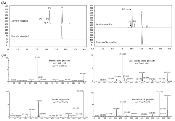 HPLC chromatogram of emodin and aloe-emodin reaction product with YjiC. High resolution QTOF-ESI/MS profile of YjiC reaction products of emodin and aloe-emodin