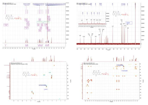 생산된 aloe-emodin glucoside (aloe-emodin-3`-O-β-D-glucoside)에 대한 NMR 분석