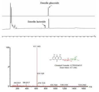 Emodin lactoside의 HPLC에 의한 생합성 분석과 Mass 결과