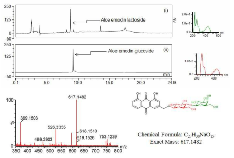 Aloe-emodin lactoside의 HPLC에 의한 생합성 분석과 Mass 결과