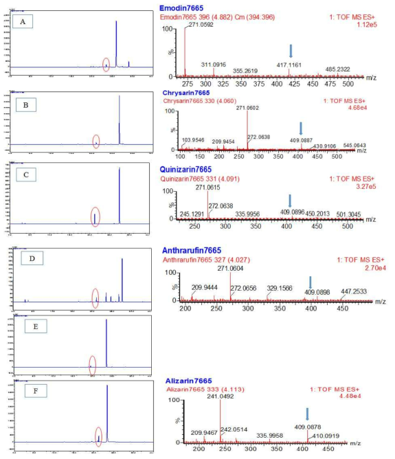 개발된 균주 (E. coli BL21 Δpgi/Δzwf/ΔUsha/pET-28a-7665/pCDF-d/pACYC-d)에 10개의 anthraquinone 기질을 feeding한 결과. 반응 결과는 HPLC와 HR-QTOF ESI/MS 으로 분석되었음. 기질은 A. emodin; B. Chysarin; C. Quinizarin; D. anthrarufin; E. Aloe emodin; F. alizarin 당전이된 결과에 대한 분석임. S: substrate; P: product