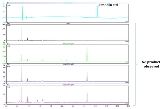 mdpG, mdpH, mdhF를 pET-Duet에 재조합된 발현 벡터를 포함된 대장균으로부터 anthraquinone 생산 확 인. 새로운 피크 및 anthraquinone 생산 여부가 확인 안됨