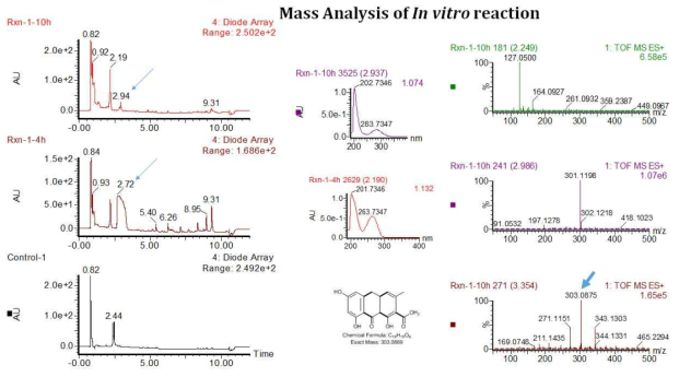 MdpG, MdpH, MdhF의 in vitro 반응 one-pot reaction에 대한 Mass 및 UV 흡광도 결과