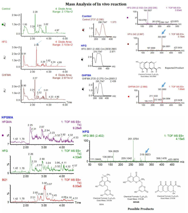 in vivo 반응 결과에 대한 Mass 분석과 가능성 있는 결과물