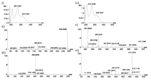 표준물질 chrysin 및 C-glycosylated crysin의 UV spectrophotometer 및 Mass 결과. i) UV maxima of standard chrysin (C), ii) HRQTOF-ESI/MS of standard chrysin, iii) HRQTOF-ESI/MS of standard chrysin, iv) UV maxima of product P1, v) HRQTOF-ESI/MS of product C1, and vi) HRQTOF-ESI/MS of product P1