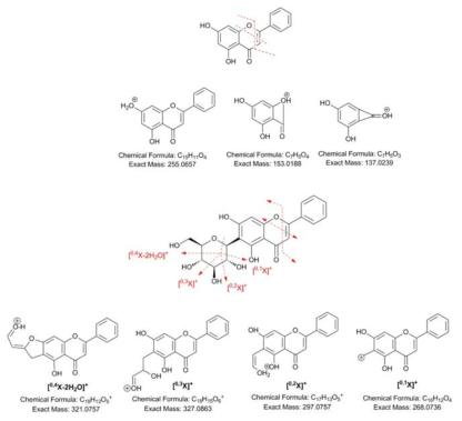 표준물질 chrysin 및 C-glycosylated crysin의 HRQTOF-ESI/MS 결과. Mass fragmentation patterns of chrysin and chrysin 6-C-β-glucoside