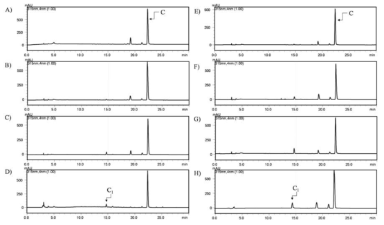 pIBR-UGT708D1 및 pIBR-GtUF6CGT1 발현벡터가 전이된 Strain 1 및 Strain 2에서 chrysin의 C-glycosylation 결과. A)-D)는 pIBR-UGT708D1 결과이며 E)-H)는 pIBR-GtUF6CGT1 GT가 있는 균주에 대해 B-D) 및 F-H) 24h, 36h, and 48h 발효 결과이며, A) 및 E)는 Control biotransformation 임