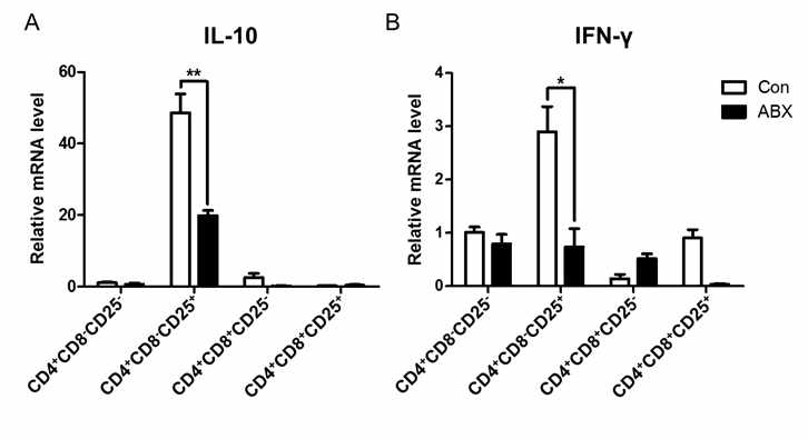 장내 미생물 제거 조류 모델 맹장편도 T 세포의 IL-10 및 IFN-γ 발현 변화