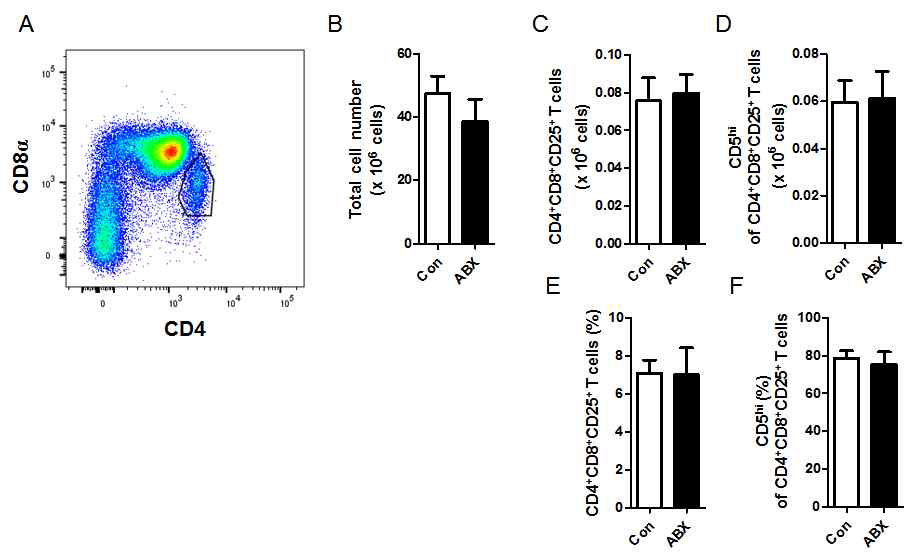 Thymus 내 CD4+ subtype T 세포 변화