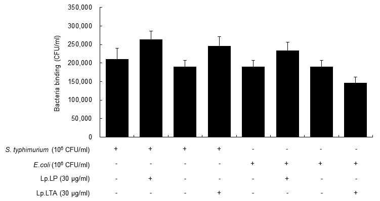 LTA 및 LPS가 설사병 유발 세균의 장 상피세포 부착 능력에 미치는 영향 분석