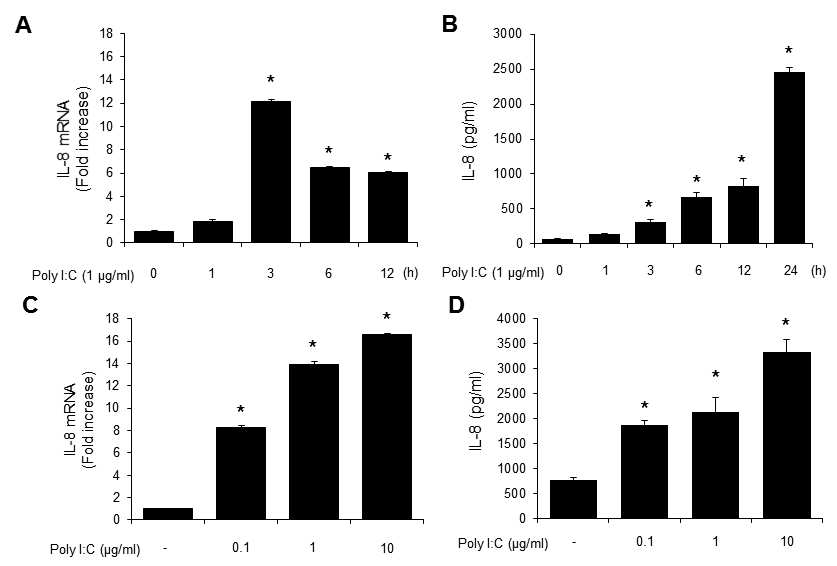 장 상피에서 Poly (I:C) 처리농도와 처리시간에 따른 IL-8의 발현패턴 분석