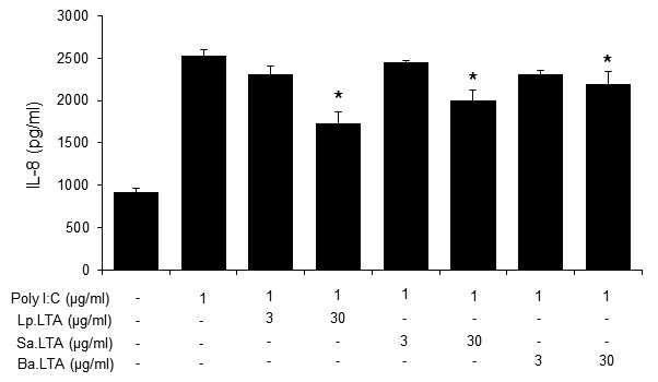 다양한 그람양성세균 유래 LTA에 의한 Poly (I:C)에 의해 유도된 IL-8 발현 영향 평가