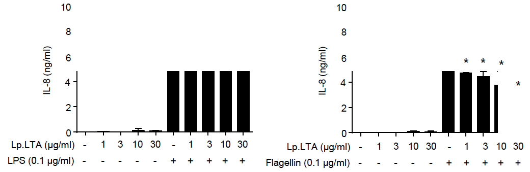 유산균 L. plantarum LTA에 의한 돼지 말초혈액단핵세포에서 LPS 또는 flagellin에 의해 유도되는 IL-8의 발현 억제 비교