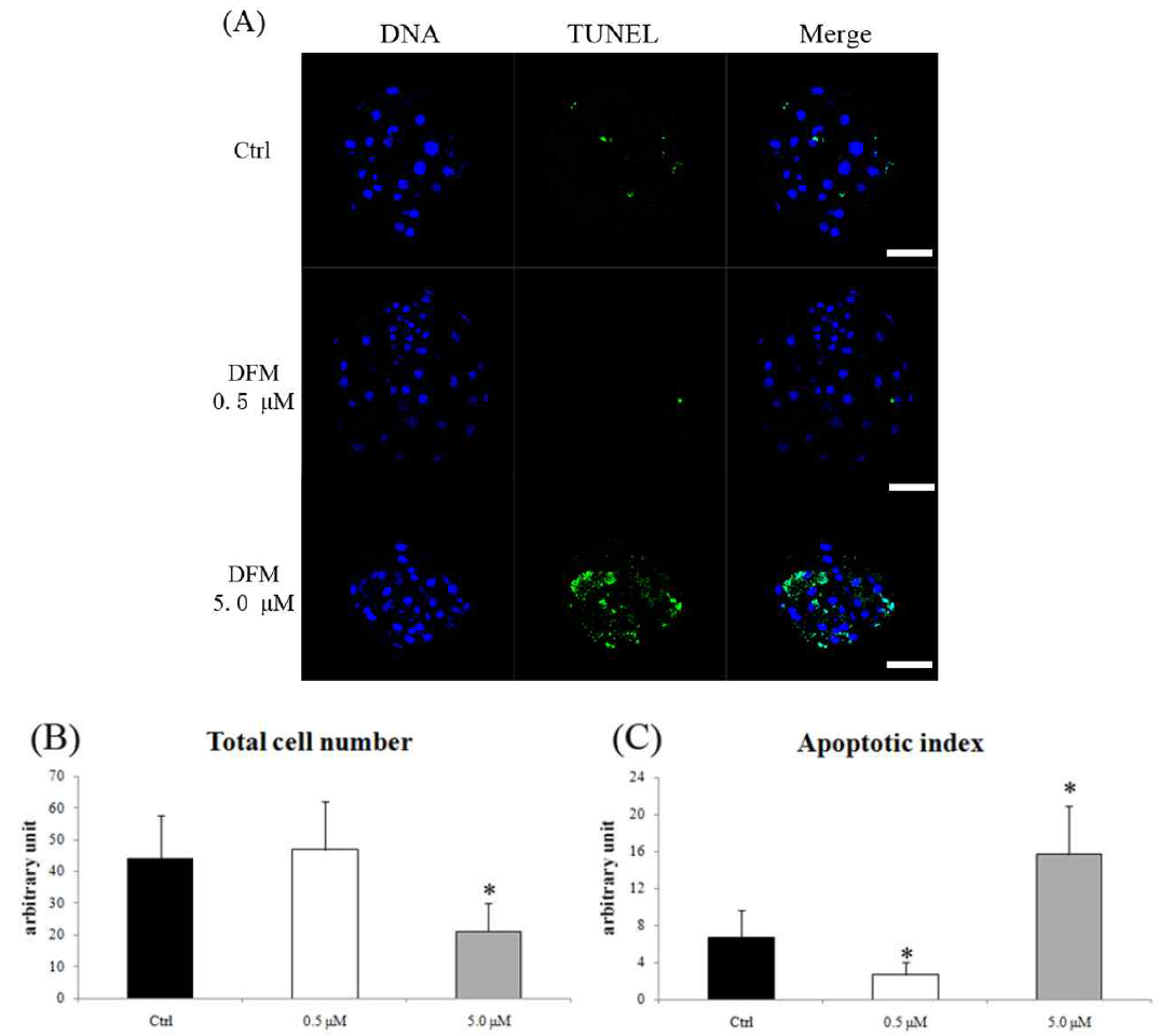 철 산패방지 억제제(DFM)처리 후 세포사멸 및 총 세포수