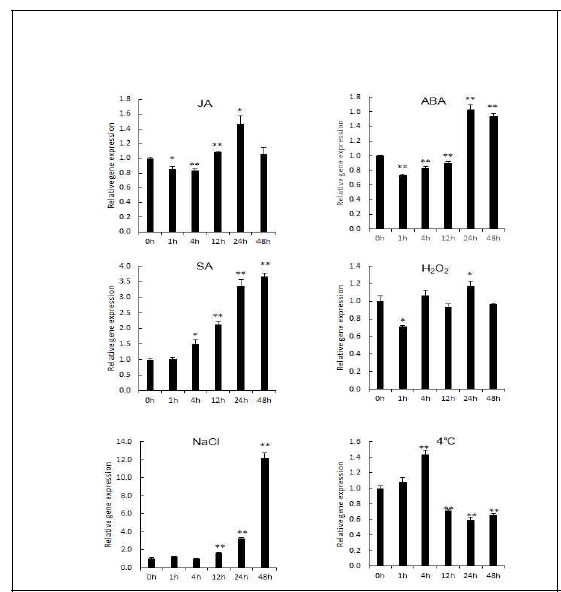 Temporal expression patterns of the PgCPT1 gene in response to abiotic stresses. Three-week-old ginseng plantlets were exposed to jasmonic acid (JA; 0.2mM), H2O2 (10mM), salicylic acid (SA; 5mM), NaCl (100mM), chilling conditions (4C), and abscisic acid (ABA; 100mM) for the time intervals indicated. b-actin was used as a loading control. The cycle threshold (Ct) value for PgCPT1 was normalized to the Ct value for b-actin and calculated relative to a calibrator sample using the formula 2DDCt. Means for treated samples were significantly different from the control at *p < 0.05 and **p < 0.01