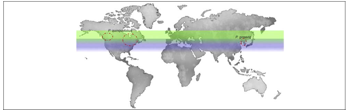 Major Panax ginseng and Panax quinquefolius cultivation areas located worldwide