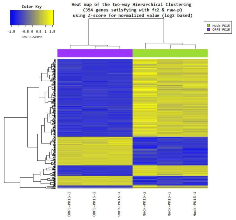 PCV2 ORF5 과발현에 의해 변화하는 유전자의 그룹 별 Heat map