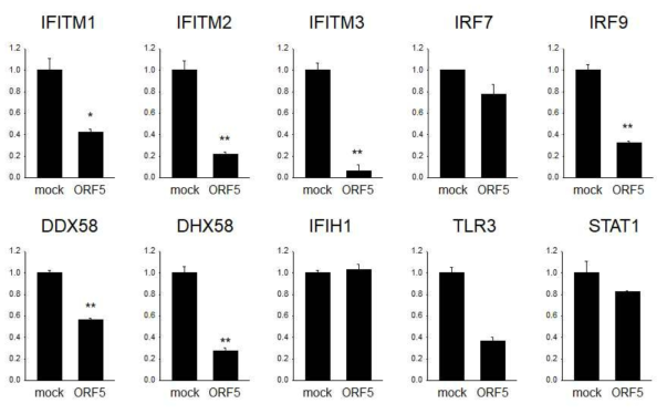 RNA-seq analysis 결과 검증을 위한 Real-time PCR 결과