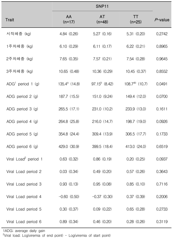 돼지 RGS16 유전자의 SNP11 유전자형과 형질과의 연관성 분석(집단1)