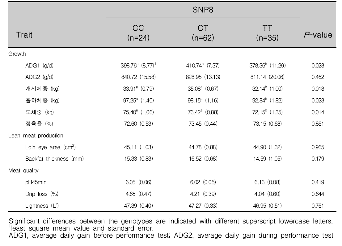 돼지 RGS16 유전자의 SNP8 유전자형과 형질과의 연관성 분석(집단2)