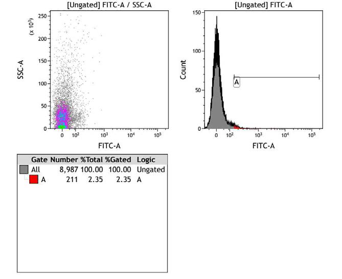 iPAM0 cell line의 펩타이드 친화력 결합력에 관한 FACS 결과