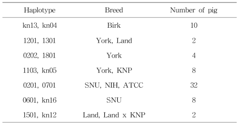 품종 간 확인된 SLA1 haplotype