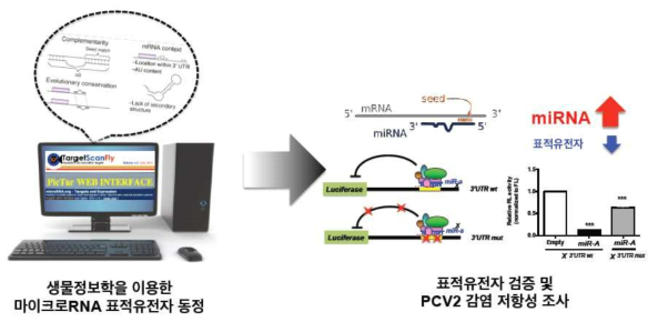 마이크로RNA 표적유전자의 동정 및 감염 저항성 조사