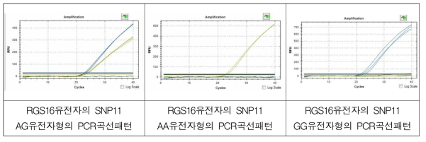 RGS16 SNP11의 유전자형에 따른 PCR곡선패턴