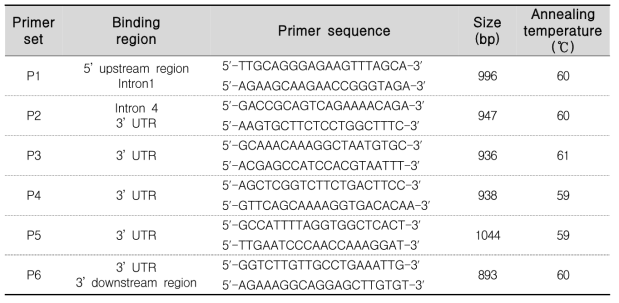 CELF2유전자의 sequencing을 위한 Primer set