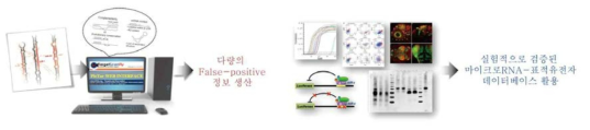 생물정보학적 프로그램을 이용한 miRNA 표적유전자 예측의 단점 극복을 위한 방안 제시