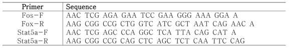 돼지 UTR 증폭용 PCR primer set