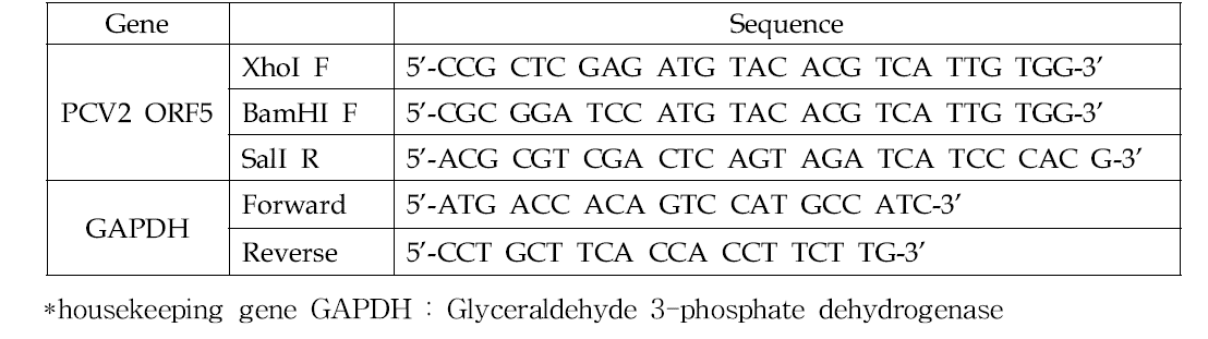 PCV2 ORF5 유전자 클로닝에 사용된 primer set