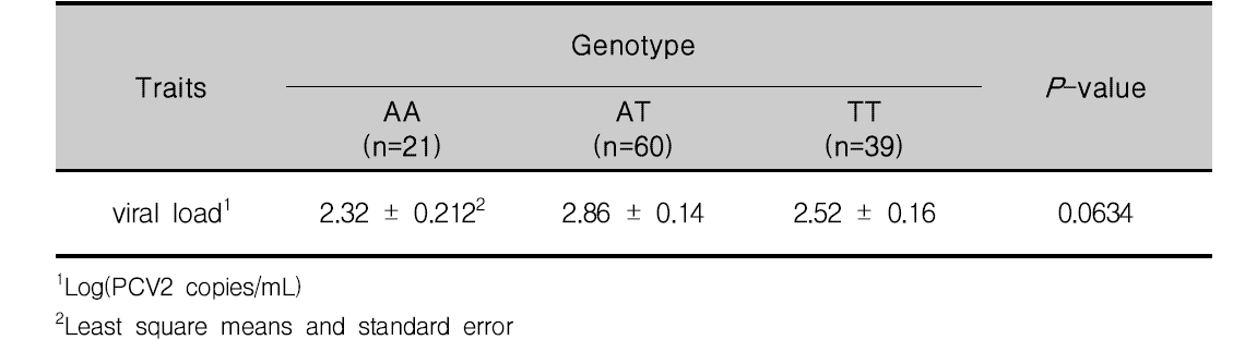 RGS16_SNP11의 유전자형이 viral load에 미치는 영향